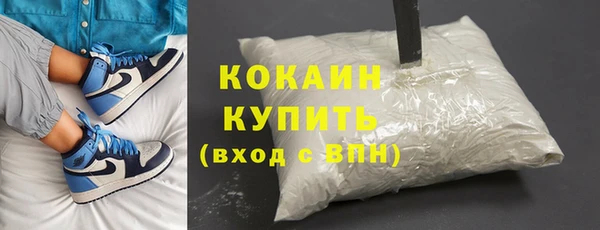 мет Алексин
