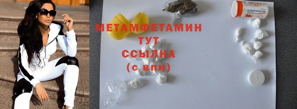 мет Алексин
